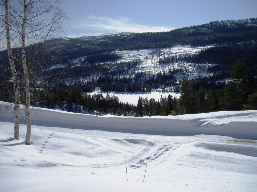 Hogstul Hytter - Skojestua - 2 Bedroom Cottage Tuddal 部屋 写真